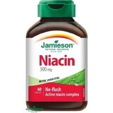 JAMIESON NIACINA 500 mg CON INOSITOL 1×60 tbl, niacina