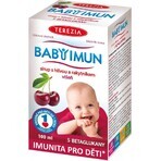 TEREZIA BABY BABY IMMUN Sirup mit Weißdorn und Sanddorn 1×100 ml, Nahrungsergänzungsmittel