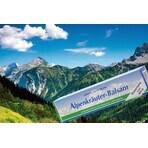 Primavera Alpenkräuter Balsam 1×200 ml, Bálsamo de hierbas alpinas