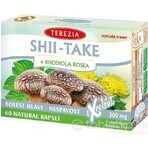 TEA THEREZIA SHII-TAKE + RHODIOLA ROSEA 1×60 cps, integratore alimentare