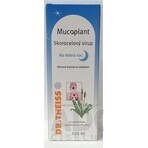 Mucoplant Solución de llantén Buenas noches Solución de llantén 1×100 ml