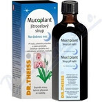 Mucoplant Solución de llantén Buenas noches Solución de llantén 1×100 ml