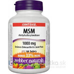 WEBBER NATURALS MSM 1000 mg BONUS 1×160 tbl, complemento alimenticio