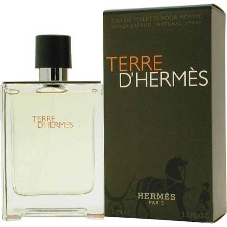 Hermes Terre D Hermes Edt 50ml 1×50 ml, Eau de toilette