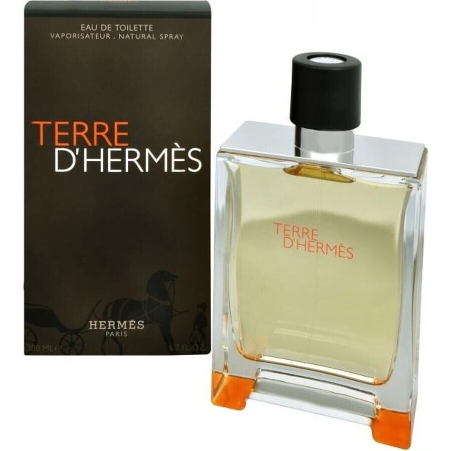 Hermes Terre D Hermes Edt 50ml 1×50 ml, Eau de toilette