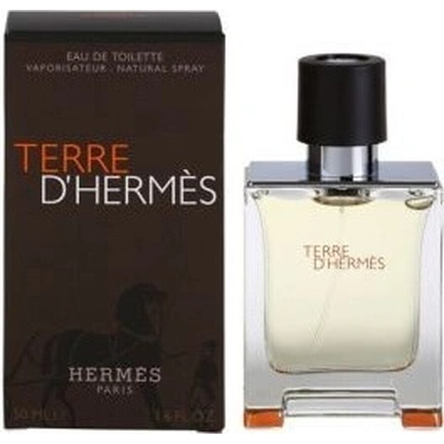 Hermes Terre D Hermes Edt 50ml 1×50 ml, Eau de toilette