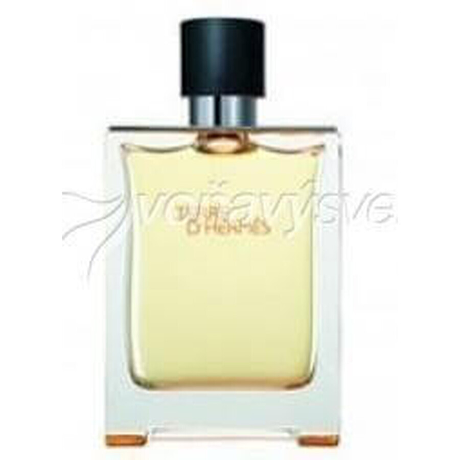 Hermes Terre D Hermes Edt 50ml 1×50 ml, Eau de toilette