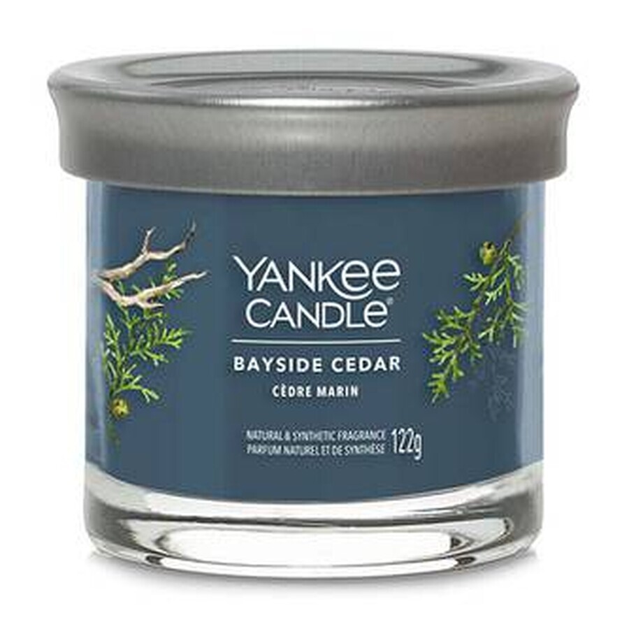 Yankee Candle Signature lumânare mică Bayside Cedar 1×122 g, lumânare parfumată