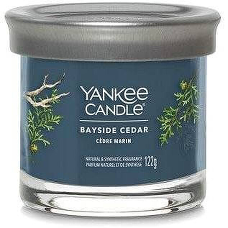 Yankee Candle Signature lumânare mică Bayside Cedar 1×122 g, lumânare parfumată