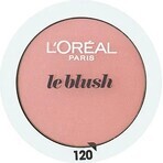 L'Oréal Paris True Match Le Blush 145 1×5 g, colorete