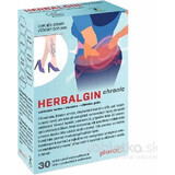 HERBALGIN chronic 1×30 tbl, food supplement for people with long-term inflammation in the body