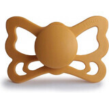 FRIGG Butterfly Butterfly Anatomical Silicone Soother Honey Gold, 0-6m 1×1 pc, silicone pacifier