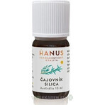 HANUS SILICA TEA TUB 1×10 ml, olio