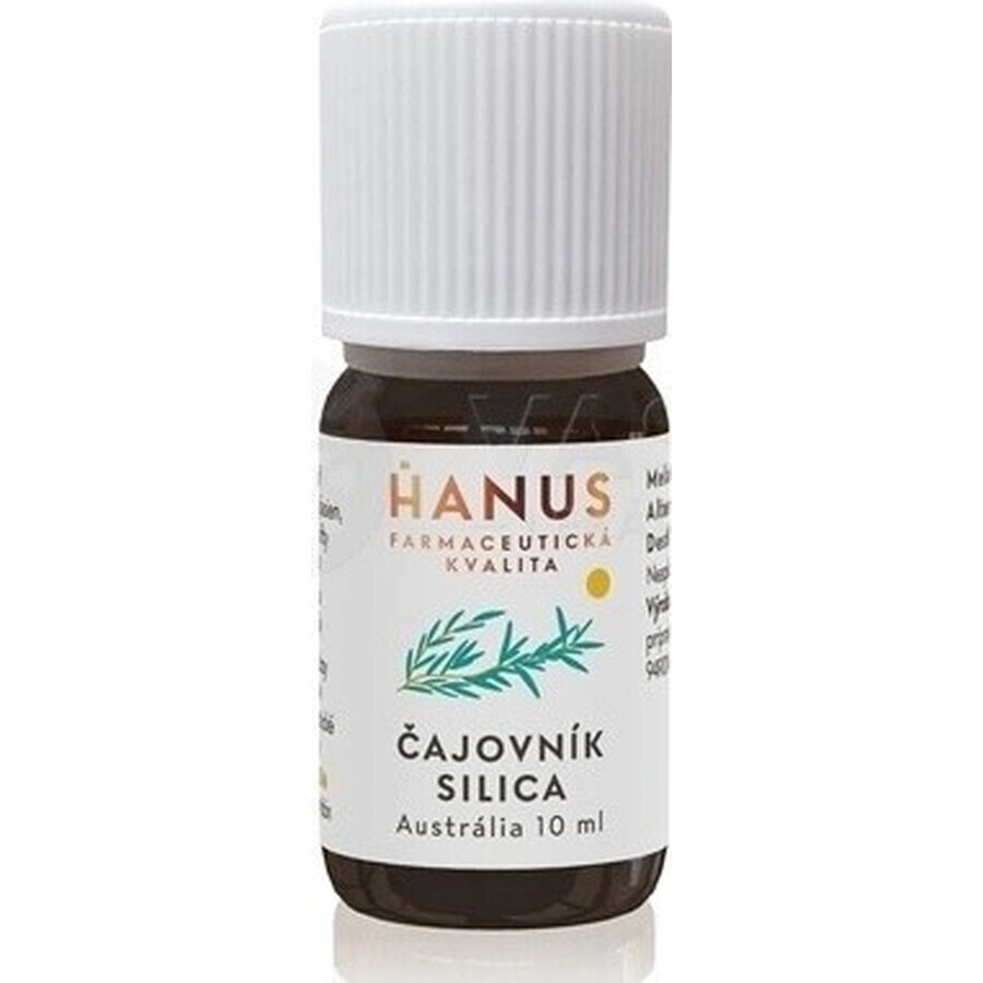 HANUS SILICA TEA TUB 1×10 ml, olio