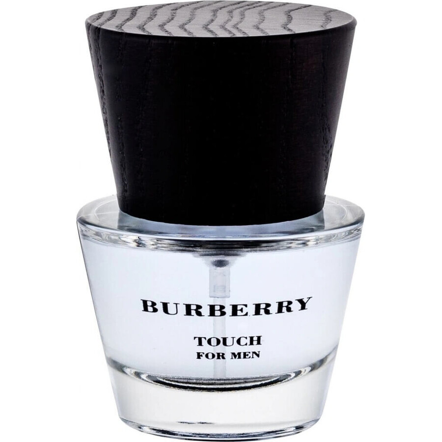 Burberry Touch Men Edt 100ml 1×100 ml, eau de toilette