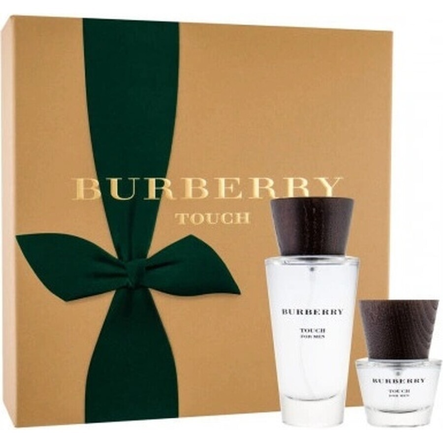 Burberry Touch Men Edt 100ml 1×100 ml, eau de toilette