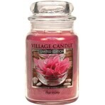 Village Candle Lumânare parfumată în sticlă - Harmony - Harmony, mare 1×1 buc