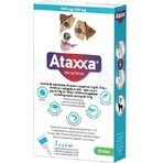 Ataxxa 500 mg/100 mg (perros de 4 kg a 10 kg) 1×1 ml, solución para perros