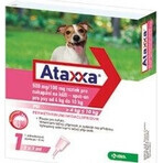 Ataxxa 500 mg/100 mg (perros de 4 kg a 10 kg) 1×1 ml, solución para perros