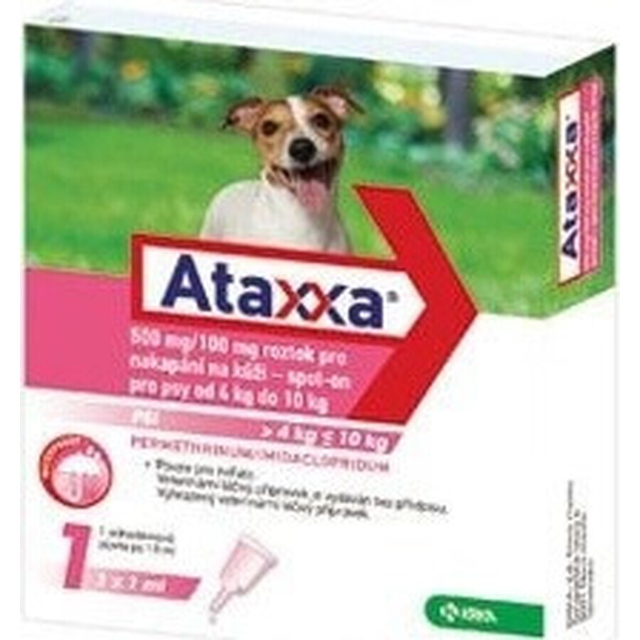 Ataxxa 500 mg/100 mg (perros de 4 kg a 10 kg) 1×1 ml, solución para perros