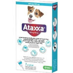 Ataxxa 500 mg/100 mg (perros de 4 kg a 10 kg) 1×1 ml, solución para perros