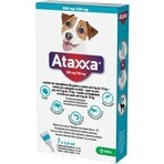 Ataxxa 500 mg/100 mg (perros de 4 kg a 10 kg) 1×1 ml, solución para perros