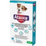 Ataxxa 500 mg/100 mg (perros de 4 kg a 10 kg) 1×1 ml, solución para perros