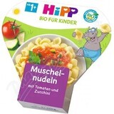 HIPP BIO Pasta met tomaten en courgettes 1×250 g, babyvoeding