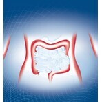 Biopron Forte 1×10 cps, supliment alimentar