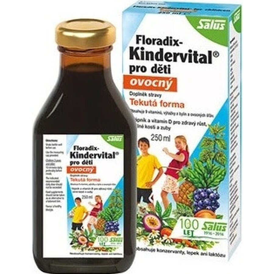 SALUS Floradix Floradix Kindervital afrutado 1×250 ml, jarabe de hierbas