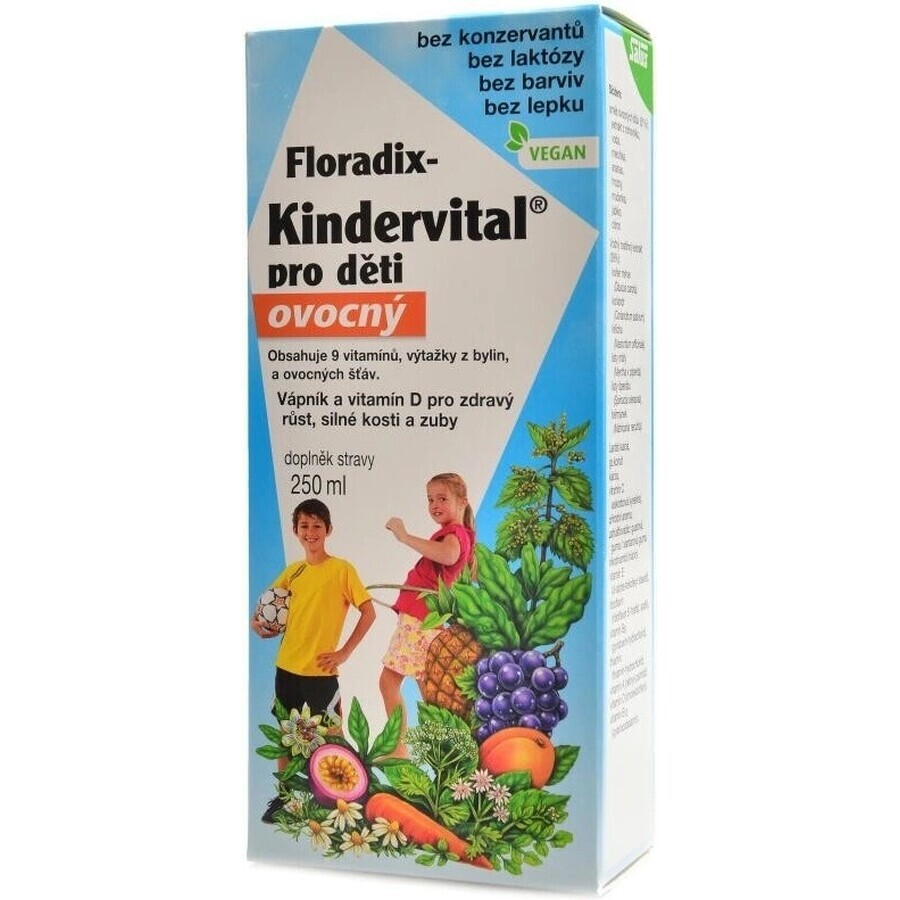 SALUS Floradix Floradix Kindervital afrutado 1×250 ml, jarabe de hierbas