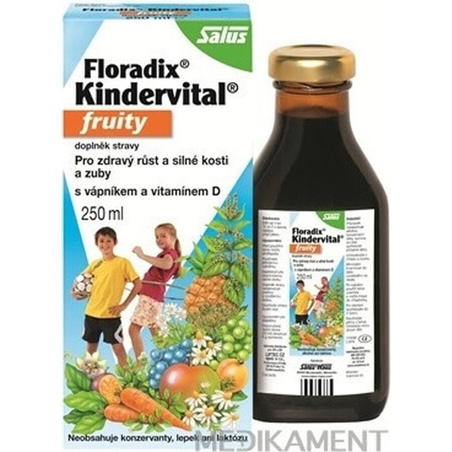 SALUS Floradix Floradix Kindervital afrutado 1×250 ml, jarabe de hierbas