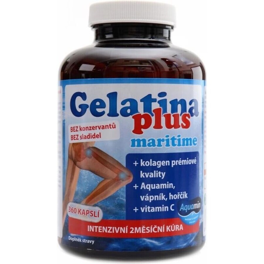 TEREZIA Gelatine Plus 1×360 cps, Gelenknahrung