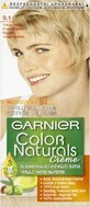 Garnier Color Naturals Coloraci&#243;n Permanente 9.1 Rubio Muy Claro Rubio Ceniza 1&#215;1 pieza, coloraci&#243;n capilar