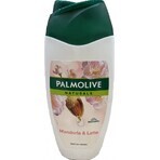 Palmolive Naturals Mandel-Milch 2in1 Duschgel 1×250ml 1×250ml mit Pflegemilch