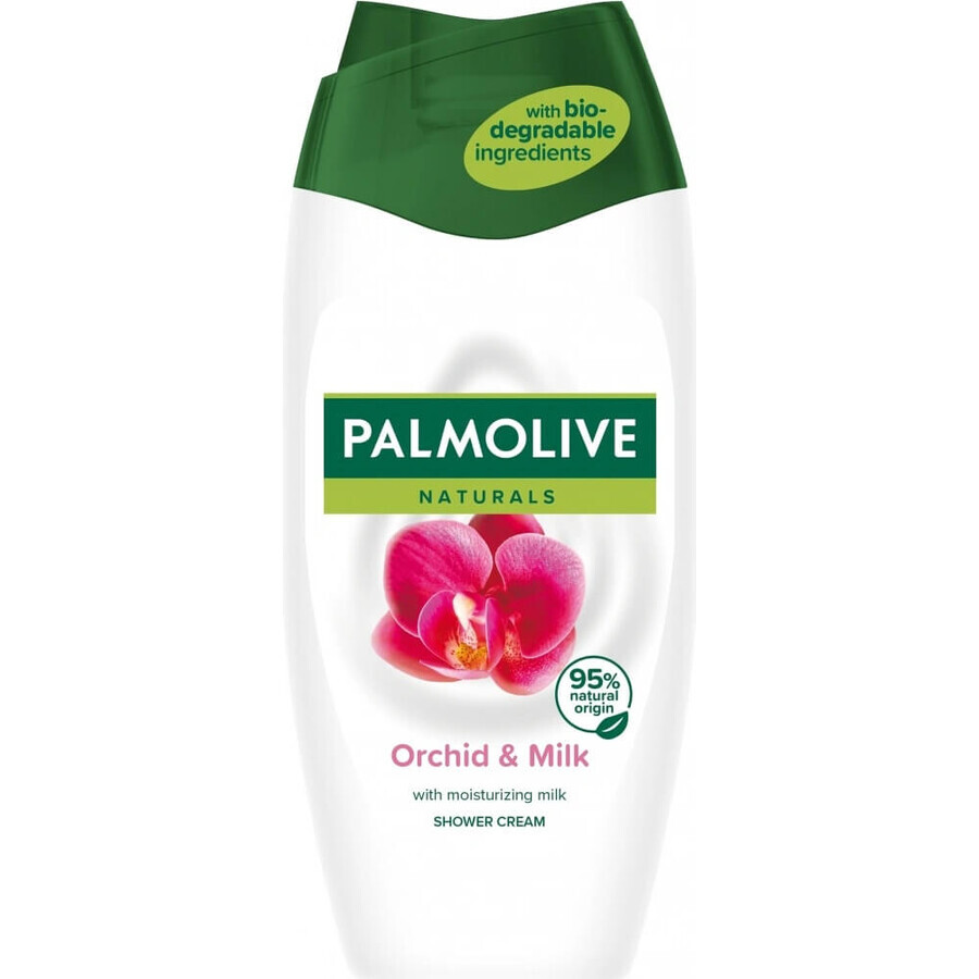 Palmolive Naturals Mandel-Milch 2in1 Duschgel 1×250ml 1×250ml mit Pflegemilch