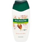 Palmolive Naturals Mandel-Milch 2in1 Duschgel 1×250ml 1×250ml mit Pflegemilch