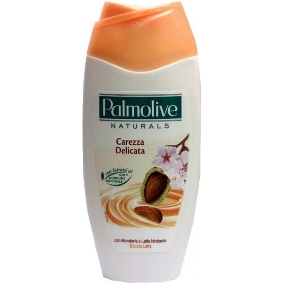 Palmolive Naturals Mandel-Milch 2in1 Duschgel 1×250ml 1×250ml mit Pflegemilch