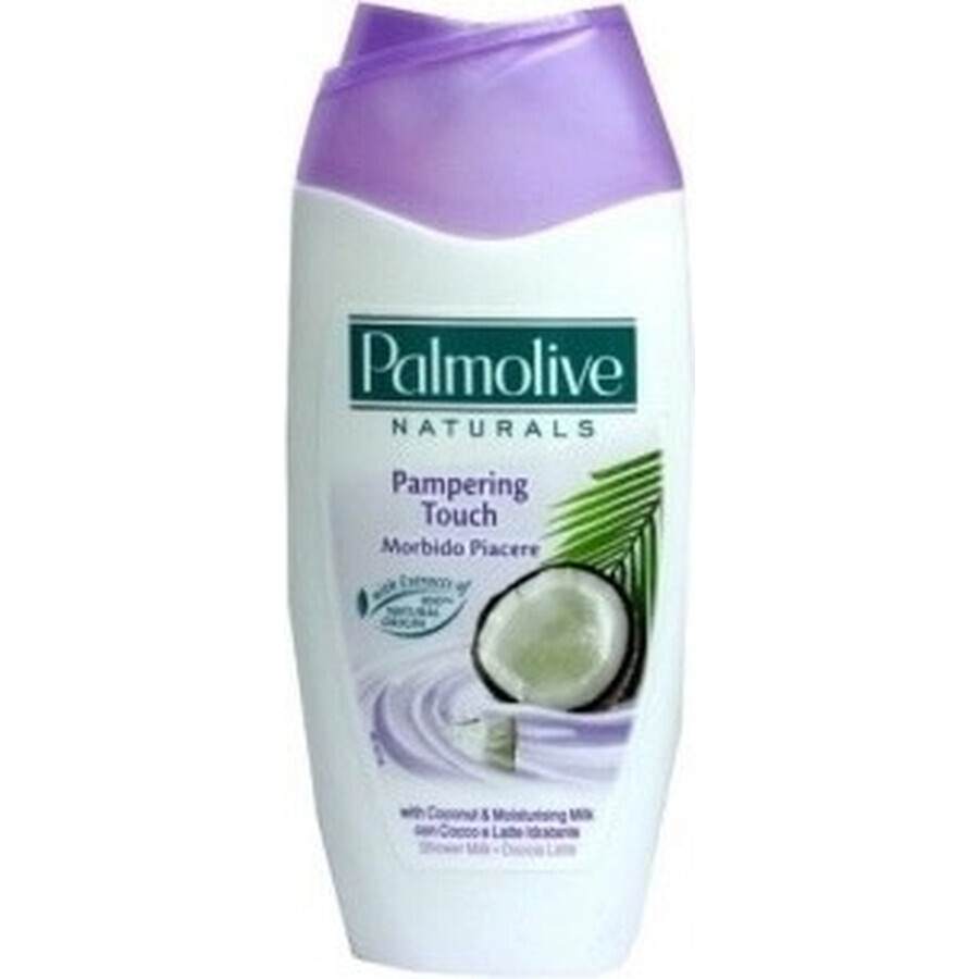 Palmolive Naturals Mandel-Milch 2in1 Duschgel 1×250ml 1×250ml mit Pflegemilch