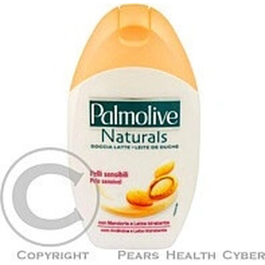 Palmolive Naturals Mandel-Milch 2in1 Duschgel 1×250ml 1×250ml mit Pflegemilch