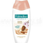 Palmolive Naturals Mandel-Milch 2in1 Duschgel 1×250ml 1×250ml mit Pflegemilch