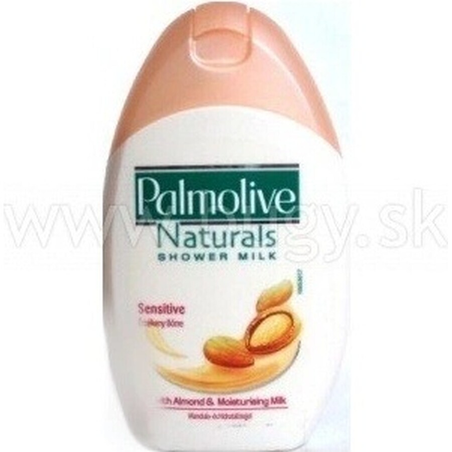 Palmolive Naturals Mandel-Milch 2in1 Duschgel 1×250ml 1×250ml mit Pflegemilch