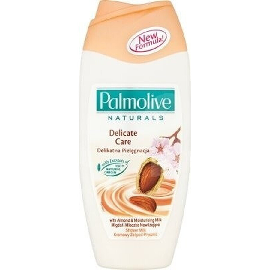 Palmolive Naturals Mandel-Milch 2in1 Duschgel 1×250ml 1×250ml mit Pflegemilch