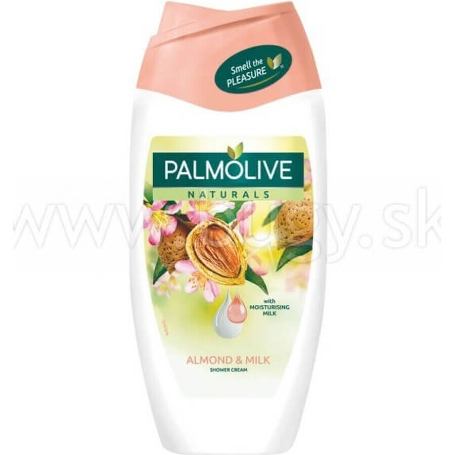 Palmolive Naturals Mandel-Milch 2in1 Duschgel 1×250ml 1×250ml mit Pflegemilch