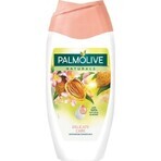 Palmolive Naturals Mandel-Milch 2in1 Duschgel 1×250ml 1×250ml mit Pflegemilch