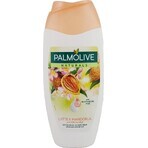 Palmolive Naturals Mandel-Milch 2in1 Duschgel 1×250ml 1×250ml mit Pflegemilch