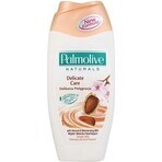 Palmolive Naturals Mandel-Milch 2in1 Duschgel 1×250ml 1×250ml mit Pflegemilch