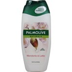 Palmolive Naturals Mandel-Milch 2in1 Duschgel 1×250ml 1×250ml mit Pflegemilch