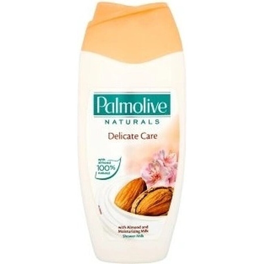 Palmolive Naturals Mandel-Milch 2in1 Duschgel 1×250ml 1×250ml mit Pflegemilch