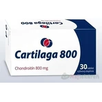 Chrząstka 800 1×30 tbl, suplement diety: ceny i cechy